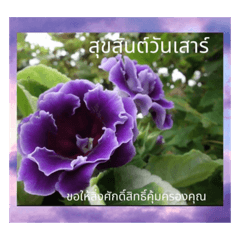 1週間のタイ色ภาษาไทย　phaasǎa thay　2