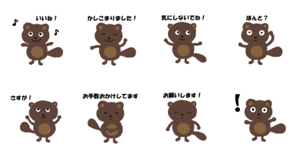 Cute raccoon dog pontarou