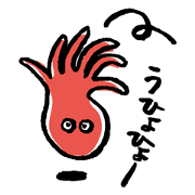 A little cute octopus