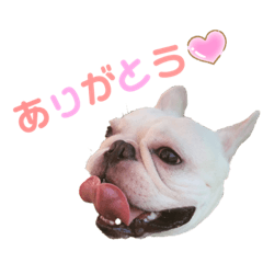 ak@ko_20210122234355