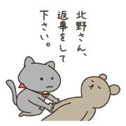 For Mr. Kitano For Mr. Kitano