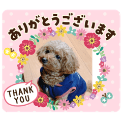 hana_20210122182048
