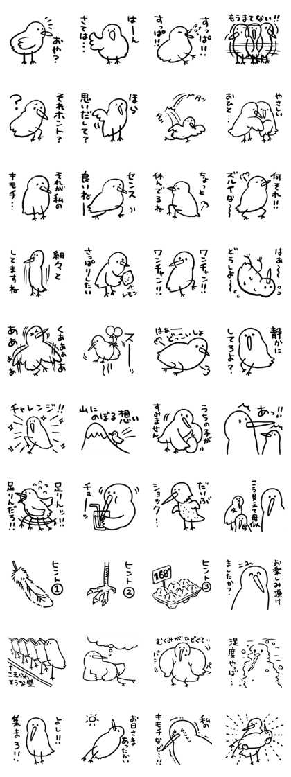 Bird Bird Bird Bird Bird!!