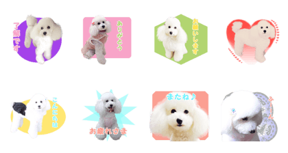 Melody Biyori Melody Biyori