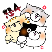 Cats letter 13 ~Angry person use 4~ Cats letter 13 ~Angry person use 4~