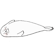 somehow it's a seal. somehow it's a seal.