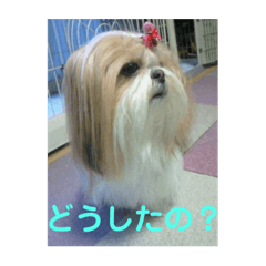 ayumi_20210123102535