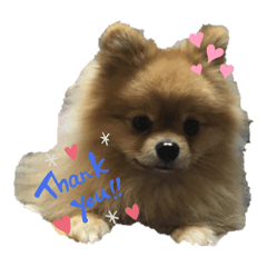 cocoa_20210122233809