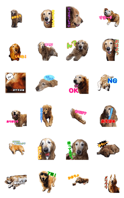 WAGAYANO MORUTAN WAGAYANO MORUTAN