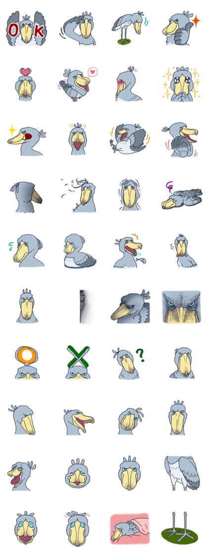 shoebill stork shoebill stork