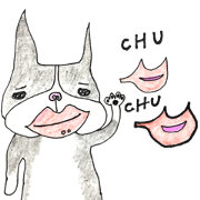 Bostonteria dajare Bostonteria dajare