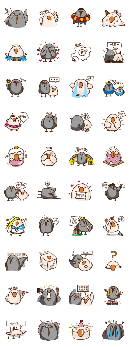 My bird life My bird life