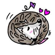 Hedgehog-Harikichi Hedgehog-Harikichi