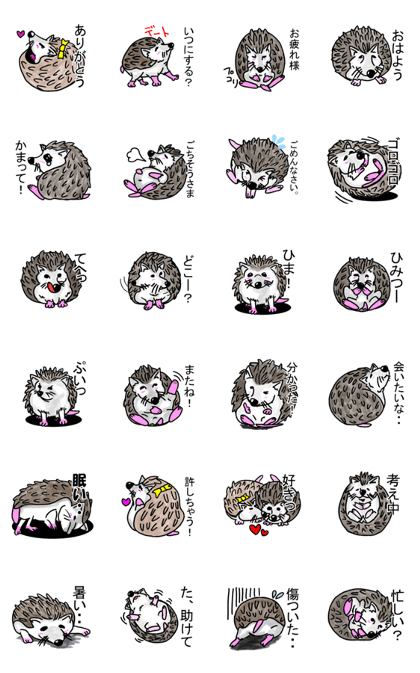 Hedgehog-Harikichi Hedgehog-Harikichi