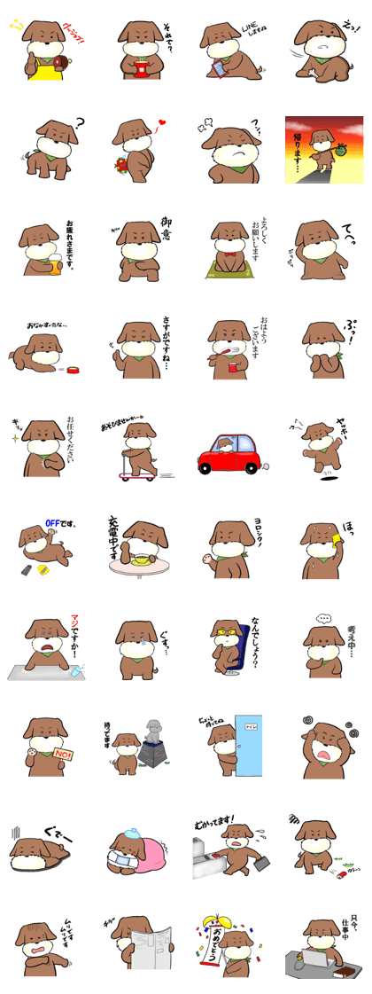 A dog straightforward dog