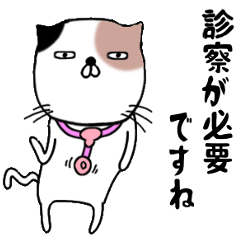 cat doctor