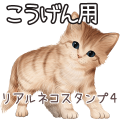 Kougen Real pretty cats 4