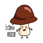 MUSHROOM CRAZY
