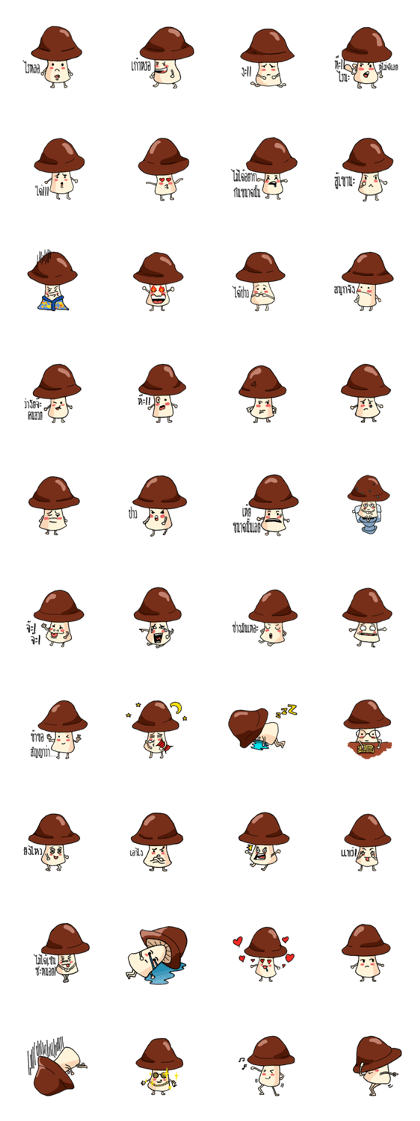 MUSHROOM CRAZY