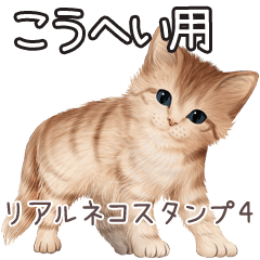 Kouhei Real pretty cats 4