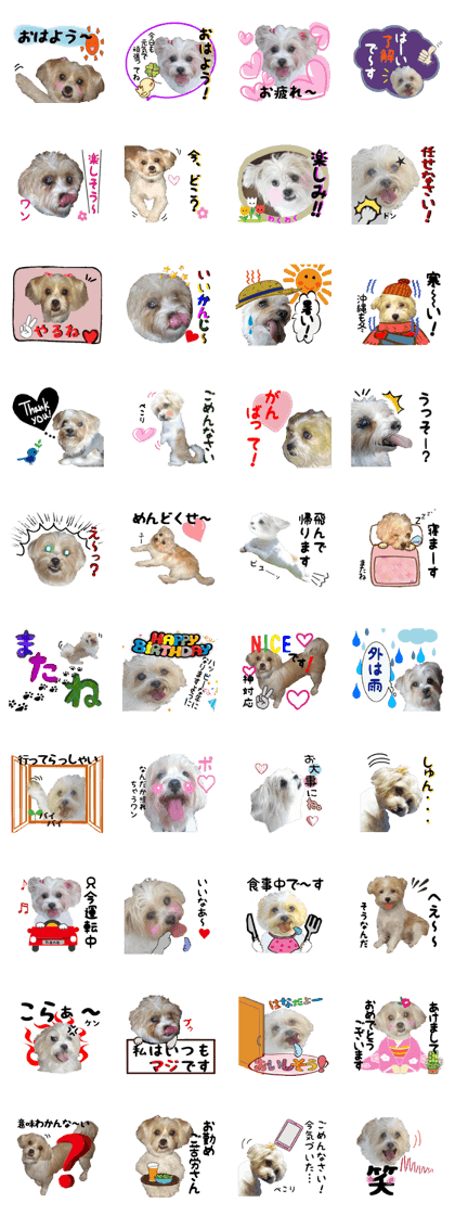 photos of my loving dog
