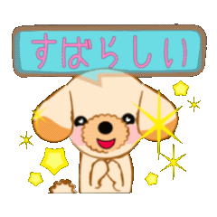 toy poodle Collon sticker