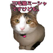 MISHA