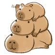 Kapi : Everyday is Capybara day!