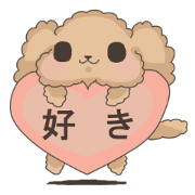 Eclair of the toy poodle