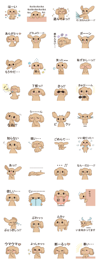 Eclair of the toy poodle