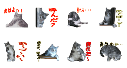 Ryoma's daily life