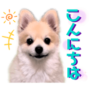 Sasukemamaicoro_20210123142819