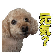 ra-ra's Live action Sticker
