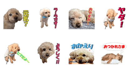 ra-ra's Live action Sticker
