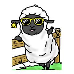 Sheep's "Yo-chan"