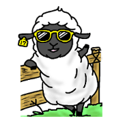 Sheep's "Yo-chan"