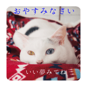 unico_20210123143332