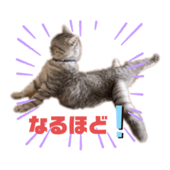 Takashi_20210123151748