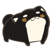 firmly thing Shiba Inu 2