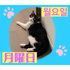 Tinytot_20210123141109