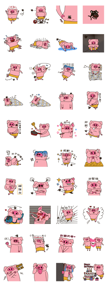 Pig cha-cha hurt