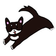 Sports lover dog