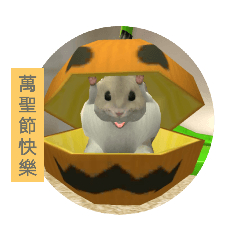 小寶的節日與生活