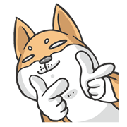 Shiba says - Daily