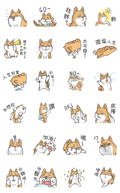 Shiba says - Daily