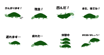 Cute Turtle Kameta