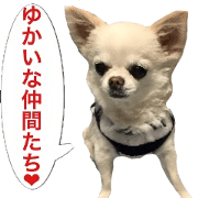 Mr.Thank you and amusing friends 22
