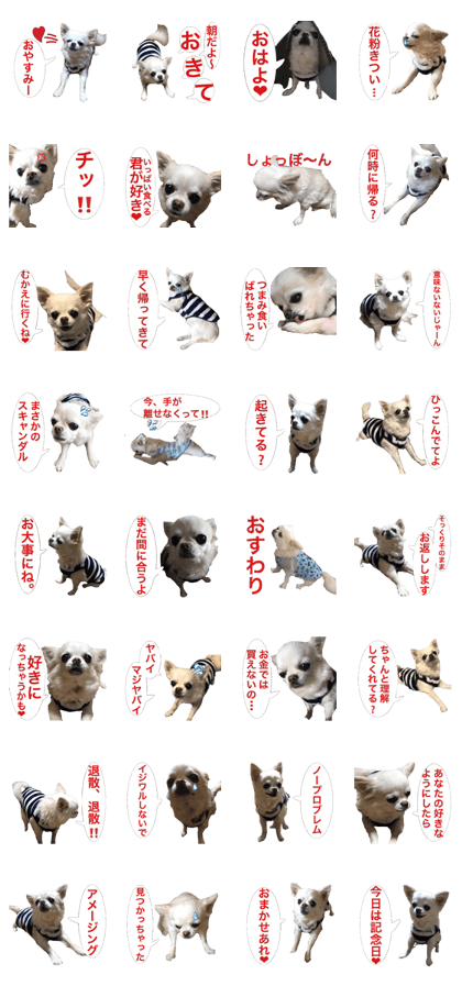 Mr.Thank you and amusing friends 22