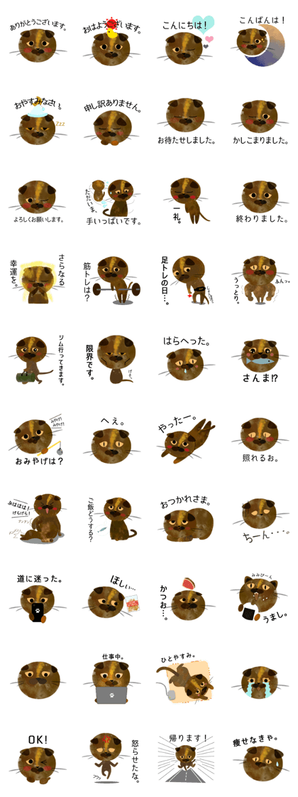 Scottish Fold1 (color:Tortie) Sticker