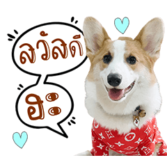 Tomu Corgi